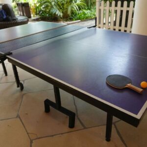 Ping-Pong-Table