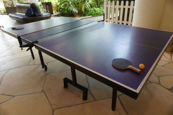 Ping-Pong-Table